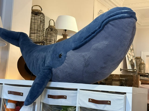 blue whale